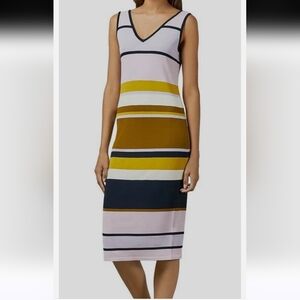 Ted Baker Striped Izlie Dress